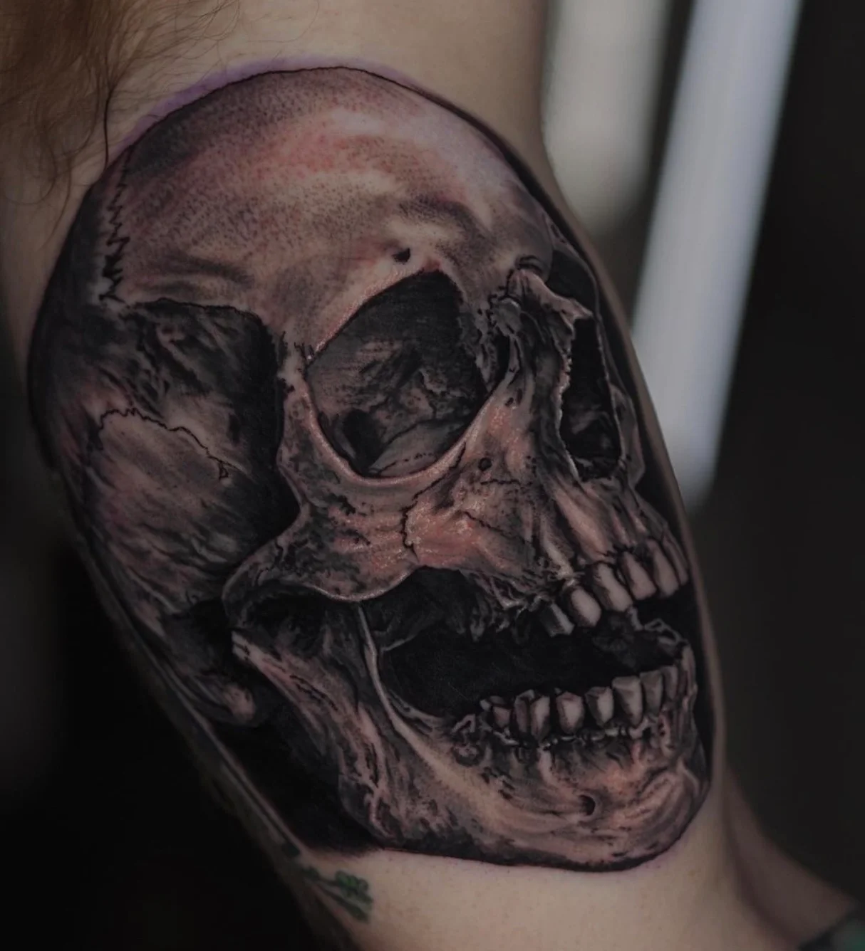 Realistic skull tattoo with incredible shadow detail and texture by Karlo at Omnia Tattoo Melbourne
