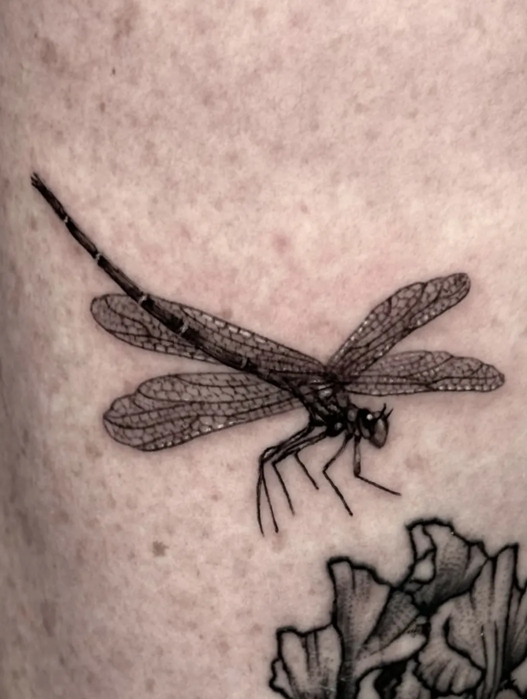 Detailed dragonfly tattoo with realistic wings and fine linework